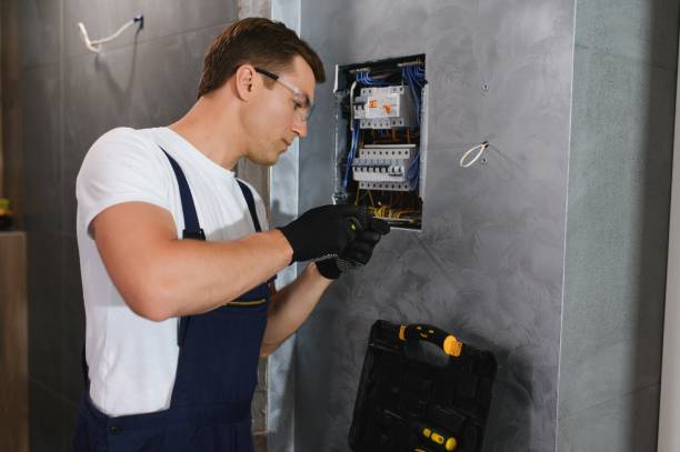 Best Local Electrician Companies  in Tipton, IA