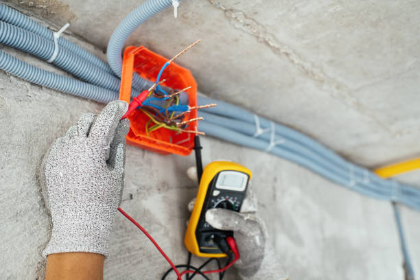 Best Licensed Electrician  in Tipton, IA